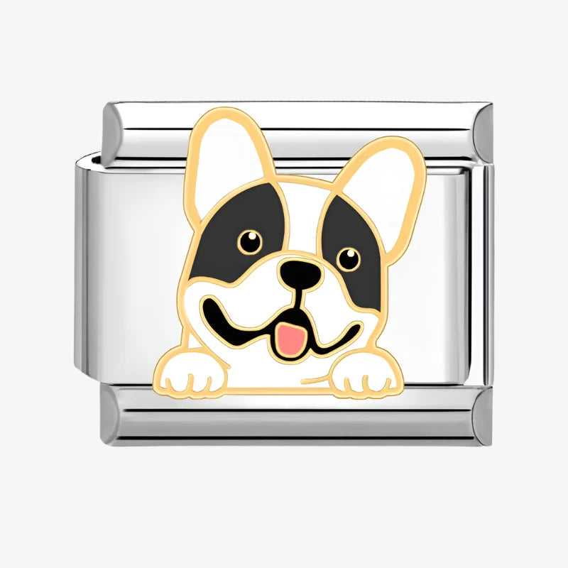 French bulldog Italian Charm